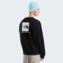 Herren-Sweatshirt The North Face M Evolution Box Nse Regular Crew