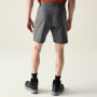Herrenshorts Dare 2b Torrek II Short