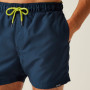 Herrenbadeanzug Regatta Mawson Swim Shorts III