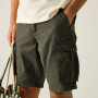 Herrenshorts Regatta Shorebay Shorts II