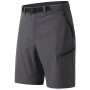 Herrenshorts Dare 2b Tuned In Pro II Short