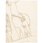 Damen-T-Shirt Chillaz Iseo Alpaca Gang