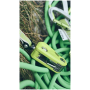Bremse Edelrid Ohm II