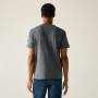 Herren-T-Shirt Regatta Finlo