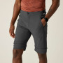 Herrenhose Regatta Mountain Z/O Trousers