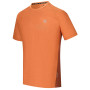 Herren-T-Shirt Dare 2b Power Up Tee