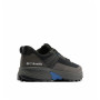 Herrenschuhe Columbia Tellurix Peak™ Wp