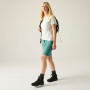 Damenshorts Regatta Women’s Xert Stretch Bermuda Light
