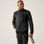 Herren-Sweatshirt Regatta Baslinn