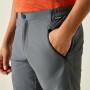 Herrenshorts Regatta Xert Stretch Shorts