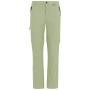 Herrenhose Regatta Anti-Insect Travel Light Z/O Trousers hellgrün Light Sage