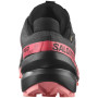 Damenschuhe Salomon Speedcross 6 Gore-Tex