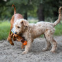 Hundespielzeug Explorer Dog AirBall 6,5 cm