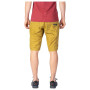 Herrenshorts Rafiki Matto LT