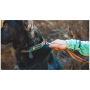 Hundehalsband Ruffwear Front Range™ Collar