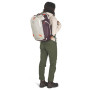 Reiserucksäcke Osprey Transporter Travel Pack 36