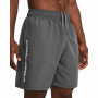 Herrenshorts Under Armour Woven Wdmk Shorts