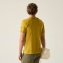 Herren-T-Shirt Regatta Finlo