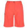 Größe: XS / Farbe: orange