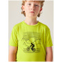 Kinder-T-Shirt Dare 2b Amuse III Tee Frgle Sprout