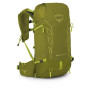 Rückengröße des Rucksacks: L/XL / Farbe: grün