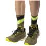 Herren Laufschuhe Dynafit Ultra 100 V3 Gtx