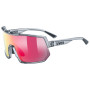 Kategorie Sonnenfilter (Kat.): S2 / Farbe: silber