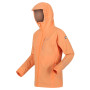 Größe: L / Farbe: orange