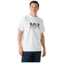 Herren-T-Shirt Helly Hansen Core Graphic T 2.0