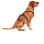 Hundegeschirr Mountain Paws 3-Strap Dog Harness