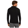 Herren-Funktionsshirt Icebreaker M 175 Everyday LS Half Zip