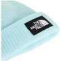 Mütze The North Face Salty Lined Beanie