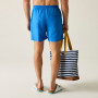 Herrenshorts Regatta Mackleyna Swim Short