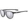 Kategorie Sonnenfilter (Kat.): S3 / Farbe: schwarz/silber