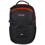 Rucksack Regatta Paladen II 25L