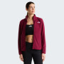Damen Funktions-Sweatshirt The North Face W Glacier Fleece Jacket