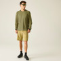 Herren-T-Shirt Dare 2b Trackstand Ace Long Sleeve