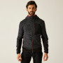 Herren-Sweatshirt Regatta Alven