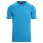 Herren-T-Shirt Icebreaker Mens 200 Oasis SS Crewe