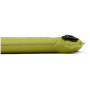 Selbstaufblasende Isomatte Sea to Summit Camp Self Inflating Mat - Large Tarragon