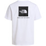 Herren-T-Shirt The North Face M Evolution Box Nse Regular Short Sleeve