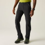 Herrenhose Regatta Mountain Z/O Trousers