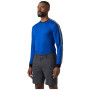 Herren-Funktionsshirt Helly Hansen HH Lifa Stripe Crew