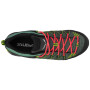 Damenschuhe Salewa Ws Mtn Trainer Lite Gtx
