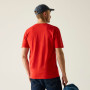 Herren-T-Shirt Regatta Cline IX