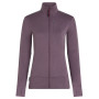 Damen Funktions-Sweatshirt Icebreaker Women Merino 260 Quantum IV LS Zip
