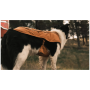 Hundebekleidung Ruffwear Overcoat Fuse™ Insulated Vest