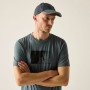 Herren-T-Shirt Regatta Fingal Stretch