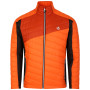 Herrenjacke Dare 2b Descending Jacket orange Puffins Orange/Rooibos Tea