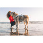 Hundegeschirr Ruffwear Swamp Cooler Harness
